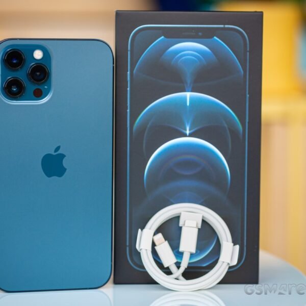 iPhone 12 Pro Max 256GB