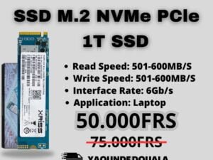 1TB M.2 SSD NVMe
