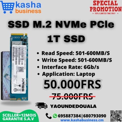1TB M.2 SSD NVMe