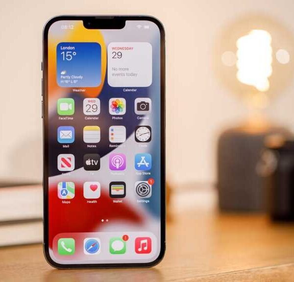 iPhone 13 Pro Max (256GB)